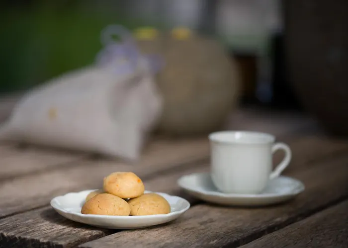 Villa Kambra Dutovlje